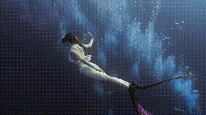 Dive+社區(qū)熱門帖子