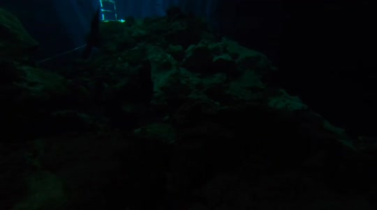 Dive+领路人的帖子