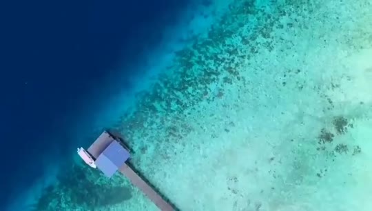 Dive+領路人的帖子