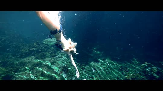 Dive+领路人的帖子