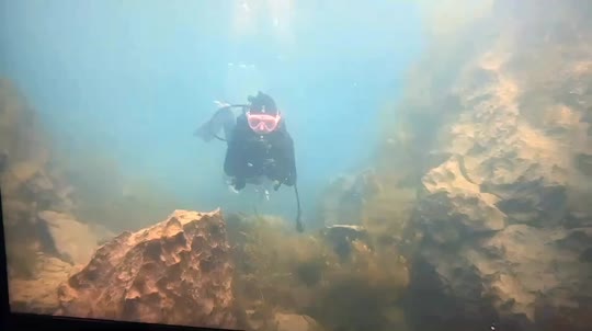 Dive+領路人的帖子