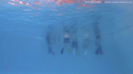 Dive+领路人的帖子