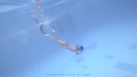 Dive+领路人的帖子