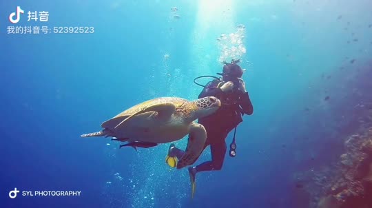 Dive+领路人的帖子