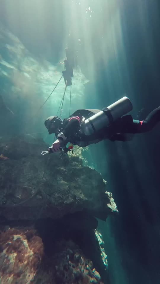 Dive+领路人的帖子