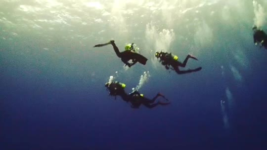 Dive+领路人的帖子