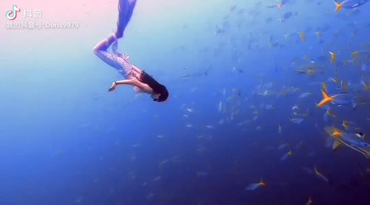 Dive+领路人的帖子