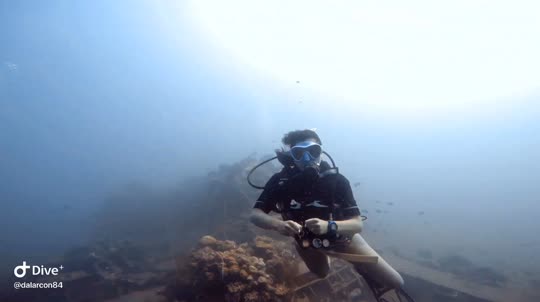 Dive+领路人的帖子