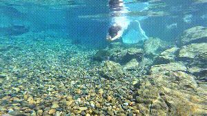 Dive+社區(qū)熱門(mén)帖子