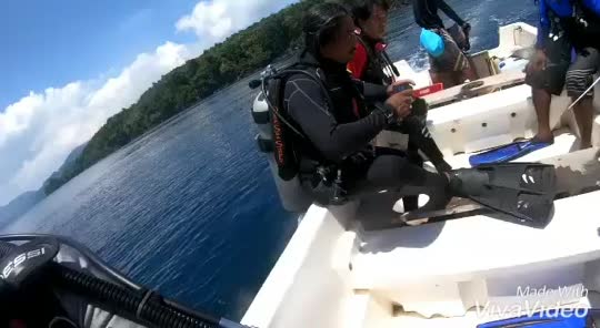 Dive+领路人的帖子
