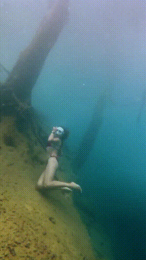 Dive+社區(qū)熱門(mén)帖子