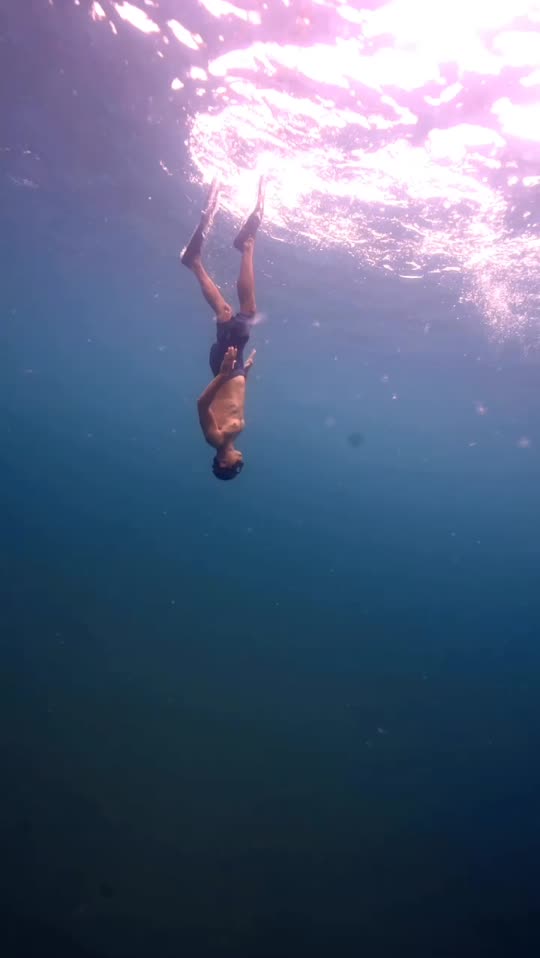 Dive+领路人的帖子