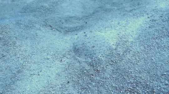 Dive+领路人的帖子