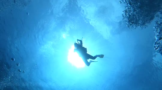Dive+领路人的帖子