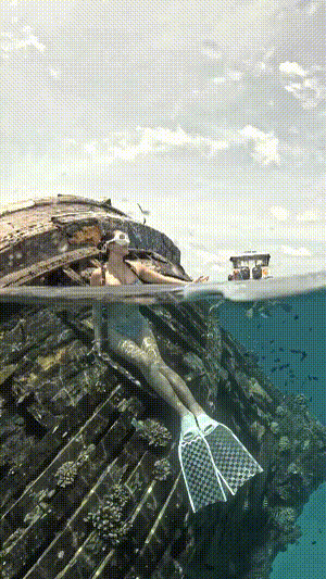 Dive+社區(qū)熱門帖子