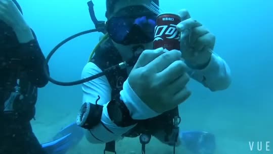 Dive+領路人的帖子