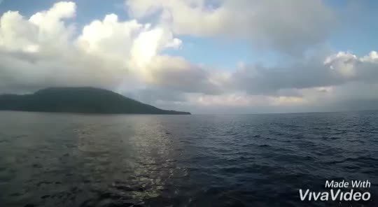 Dive+领路人的帖子