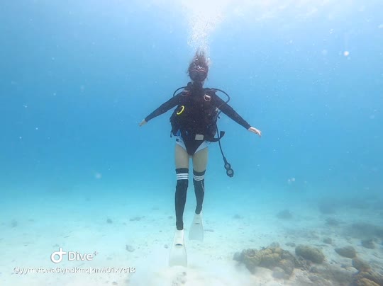 Dive+领路人的帖子