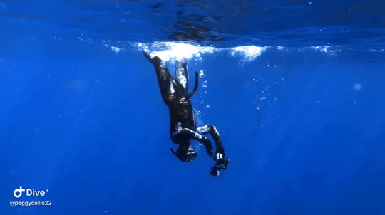 Dive+领路人的帖子