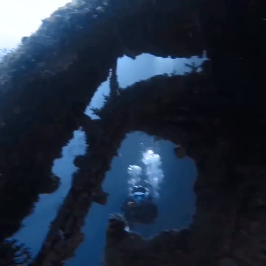 Dive+领路人的帖子