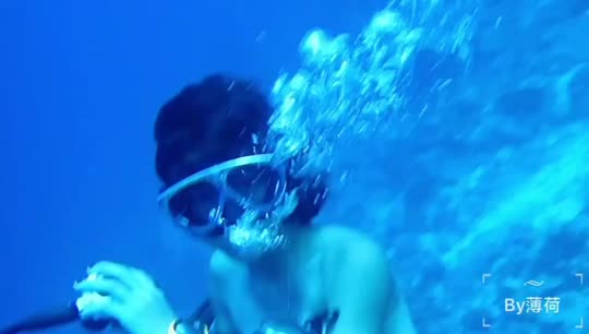 Dive+领路人的帖子