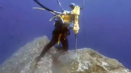 Dive+领路人的帖子