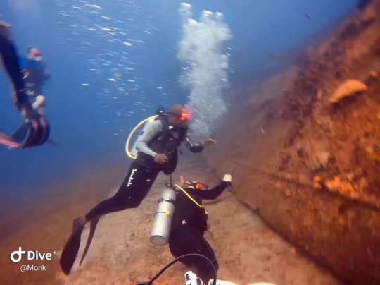 Dive+领路人的帖子