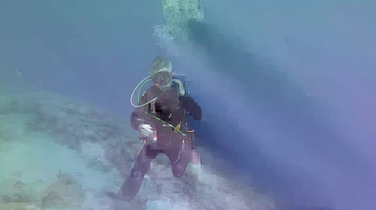 Dive+领路人的帖子