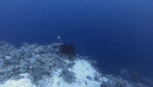 Dive+领路人的帖子