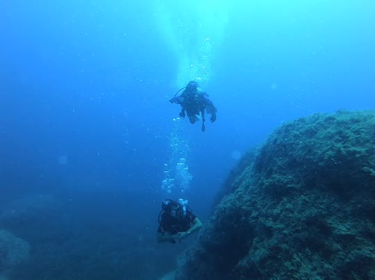 Dive+领路人的帖子