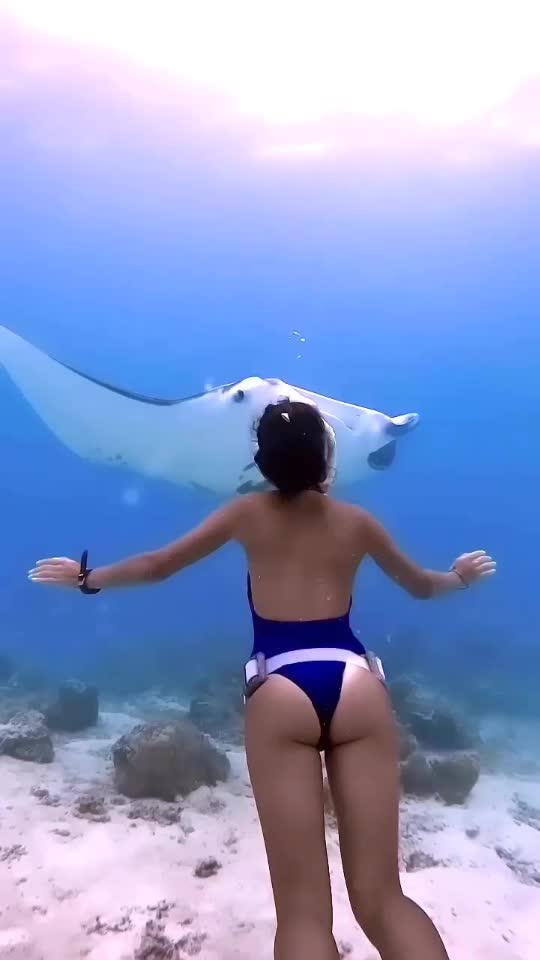 Dive+领路人的帖子