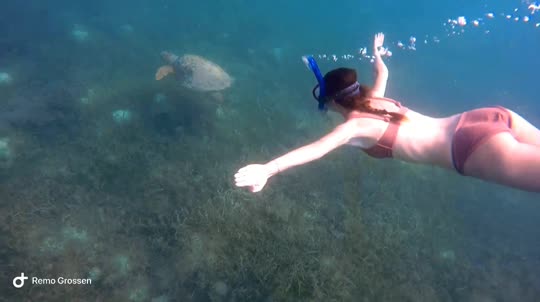 Dive+领路人的帖子