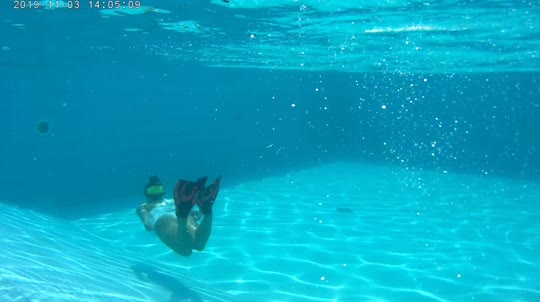 Dive+领路人的帖子