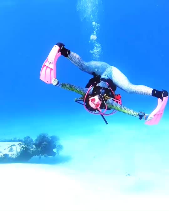 Dive+领路人的帖子