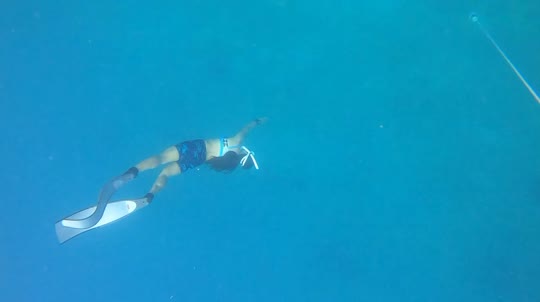 Dive+领路人的帖子