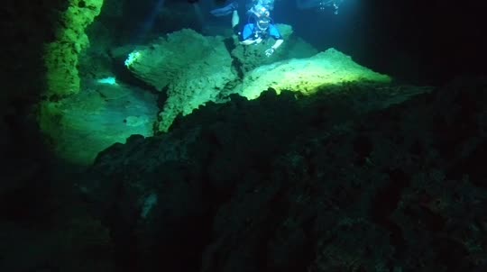 Dive+领路人的帖子