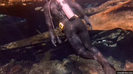 Dive+领路人的帖子