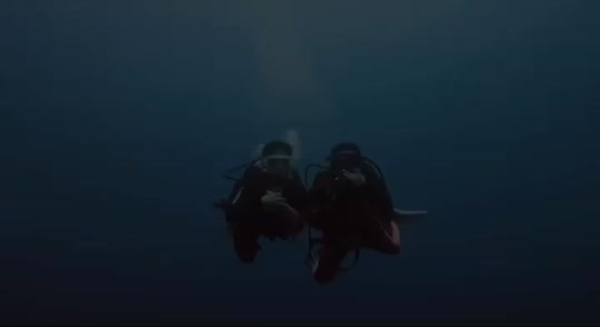 Dive+领路人的帖子