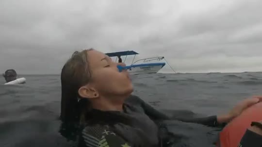 Dive+領路人的帖子