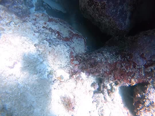 Dive+领路人的帖子