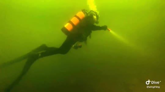Dive+领路人的帖子