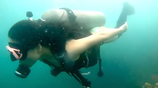 Dive+领路人的帖子