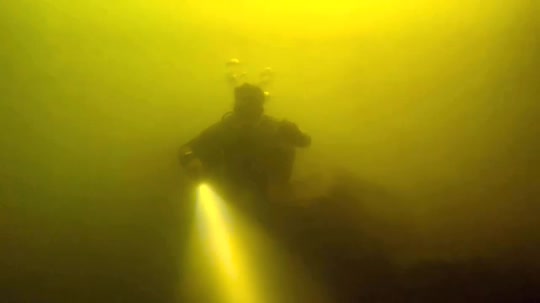 Dive+领路人的帖子