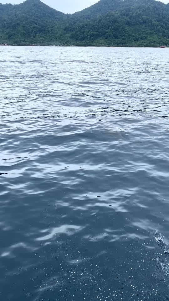 Dive+领路人的帖子