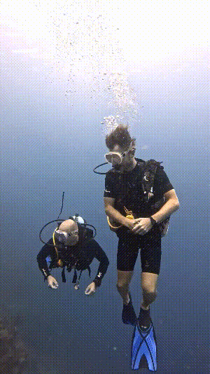 Dive+社區(qū)熱門帖子