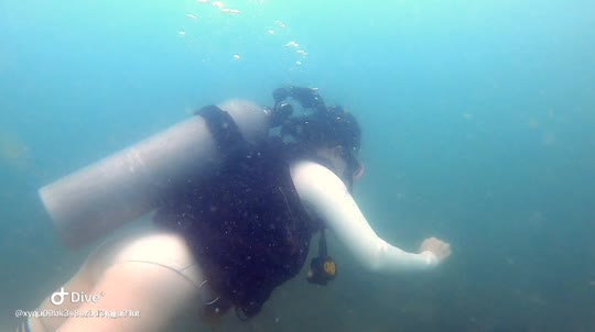 Dive+领路人的帖子