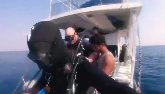 Dive+领路人的帖子