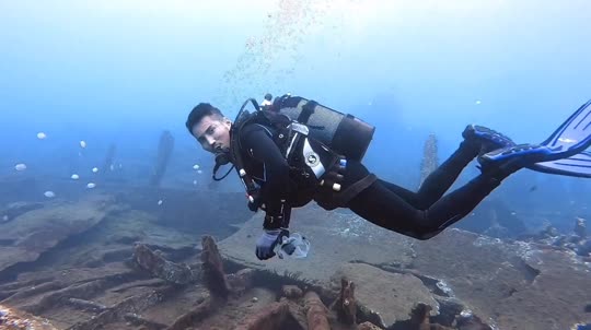 Dive+领路人的帖子