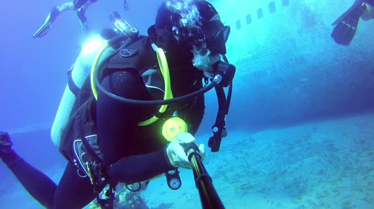 Dive+领路人的帖子