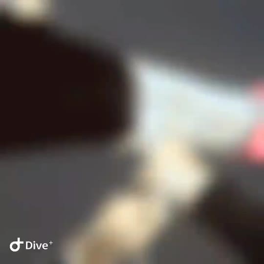 Dive+领路人的帖子